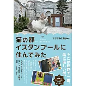 猫の都イスタンブールに住んでみた