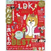 ワンDKデラックス 2025