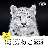 貓科動物2026年月曆