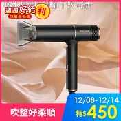 MG-HD0820L 松木摺疊式負離子吹風機