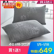【NINO1881】買1送1-針織石墨烯水洗羽絲絨枕(共2顆) 灰色