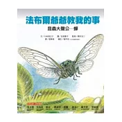 昆蟲大聲公：蟬─法布爾爺爺教我的事