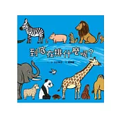 到底在排什麼呢？