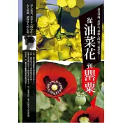 從油菜花到罌粟