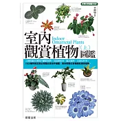 室內觀賞植物圖鑑(上)