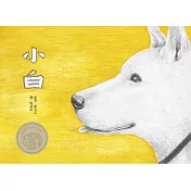 小白