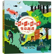 我的第一本拉頁書：生命起源