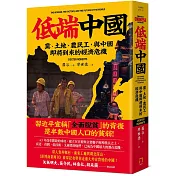 低端中國：黨、土地、農民工，與中國即將到來的經濟危機