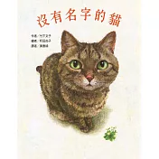 沒有名字的貓