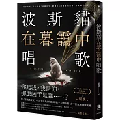 波斯貓在暮靄中唱歌