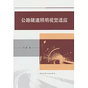公路隧道照明視覺適應