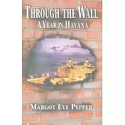 Through the Wall: A Year in Havana