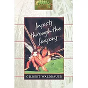 Insects Through the Seasons