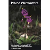 Prairie Wildflowers