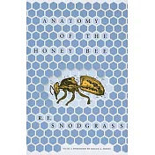 Anatomy of the Honey Bee