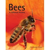 Bees: A Natural History