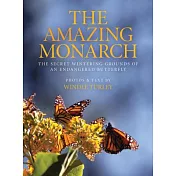 The Amazing Monarch: The Secret Wintering Grounds of an Endangered Butterfly
