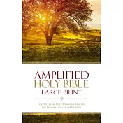 Amplified Bible-Am-Large Print: Captures the Full Meaning Behind the Original Greek and Hebrew