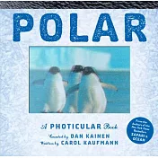 翻頁就會動！特效書Polar: A Photicular Book