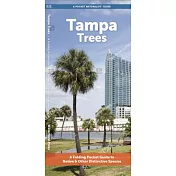 Tampa Trees: A Waterproof Folding Guide to Familiar Trees