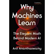 Why Machines Learn: The Elegant Math Behind Modern AI