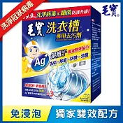毛寶 洗衣槽去汙劑(300g/包-共3包+6g/包-共3包)