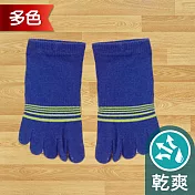 蒂巴蕾TOE SOCKS乾爽五指短襪-細條紋                               寶藍