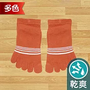 蒂巴蕾TOE SOCKS乾爽五指短襪-細條紋                              橘