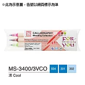 【Kuretake 日本吳竹】 雙頭平頭麥克筆(2mm/5mm)3支入組-凜 Cool