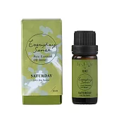 TOAST/EVERYDAY SENSE精油Saturday