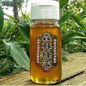 【蜂之饗宴】森林蜂蜜 700g (臺灣蜂蜜)