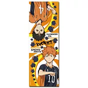 排球少年SS-透明海報(1)