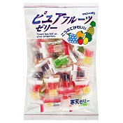 豐榮水果軟糖240g