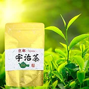 日本藤二嚴選宇治煎茶茶包80g