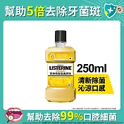 李施德霖 經典原味除菌漱口水250ml