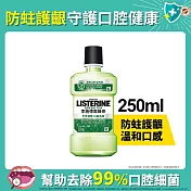 李施德霖綠茶防蛀護齦漱口水250ml