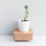 TOSMU 童心木 木製小夜燈-微光