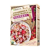【vilson 米森】草莓莓果脆麥片(350g/盒)