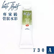 俄羅斯 3K Nevskaya Palitra - WhiteNights白夜 專家級管狀水彩 10ml A級-730土綠