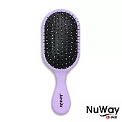 【施魔梳】巧妝款專業梳 (任選一色)紫色