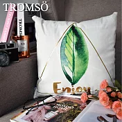 TROMSO風尚北歐抱枕/綠葉金三角