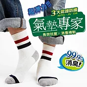 瑪榭 長效抗菌 氣墊專家避震毛巾底1/2襪-條紋(25~27cm)L白