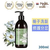 法國NAJEL阿勒坡古皂液淨透平衡頭皮SPA洗髮精300ml-梔子花