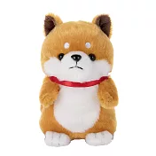 T-ARTS 迴聲寵物 柴犬