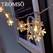 TROMSO-LED樂活布置小雪花燈串組