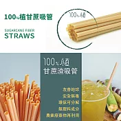【嚐鮮體驗包】100%植甘蔗吸管斜口  6mm (細吸管x30支) & 12mm (可吸珍珠粗吸管x15支)