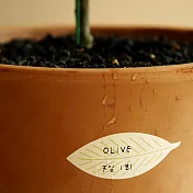 Dailylike  防水標籤貼紙組-02 葉子