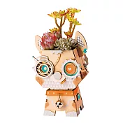 Robotime/ 朵肉工作室 -波奇汪