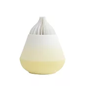 TOAST / BOTANICA 擴香器－ 洋蔥