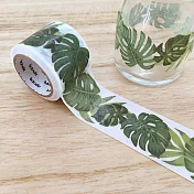 【bande】和紙膠帶轉印貼紙_龜背竹